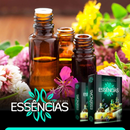 E-book: O poder das essências Aromaterapia + PLR Direito de Revenda.